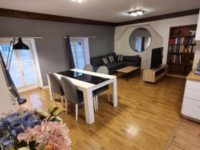 grand appartement cœur de ville DIJON